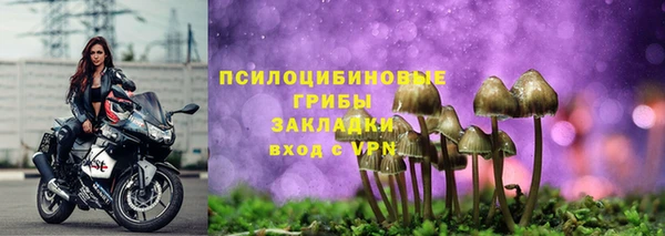 спиды Осинники
