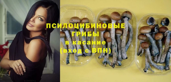 спиды Осинники