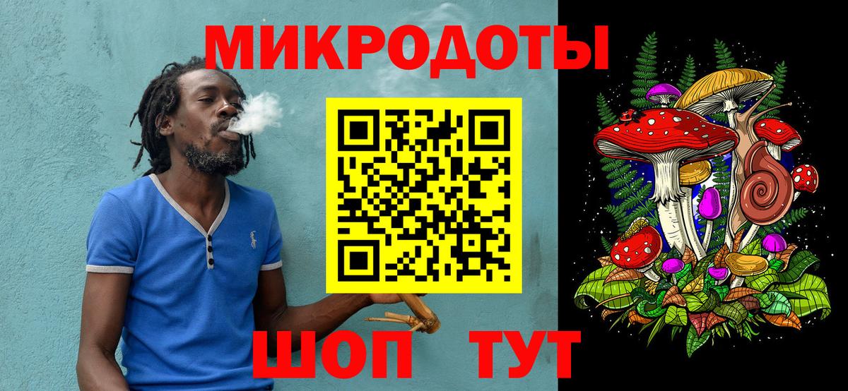 Галлюциногенные грибы Psilocybe Александров