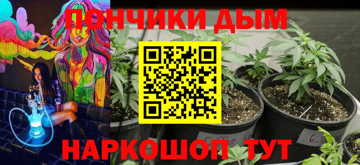 Каннабис VHQ  Каннабис семена  Александров  Вход с VPN  Шишки марихуана MAZAR 